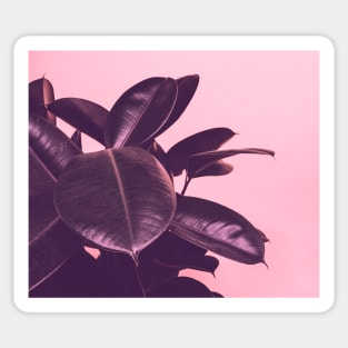 Botanical rose colored glasses Sticker